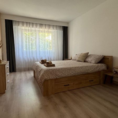 קלוז'-נאפוקה Lareina Apartament מראה חיצוני תמונה